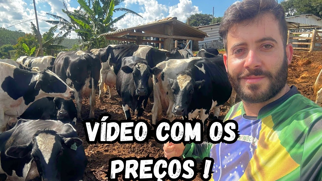 Quanto de dinheiro é preciso para começar a mexer com leite do zero e sem terra ?