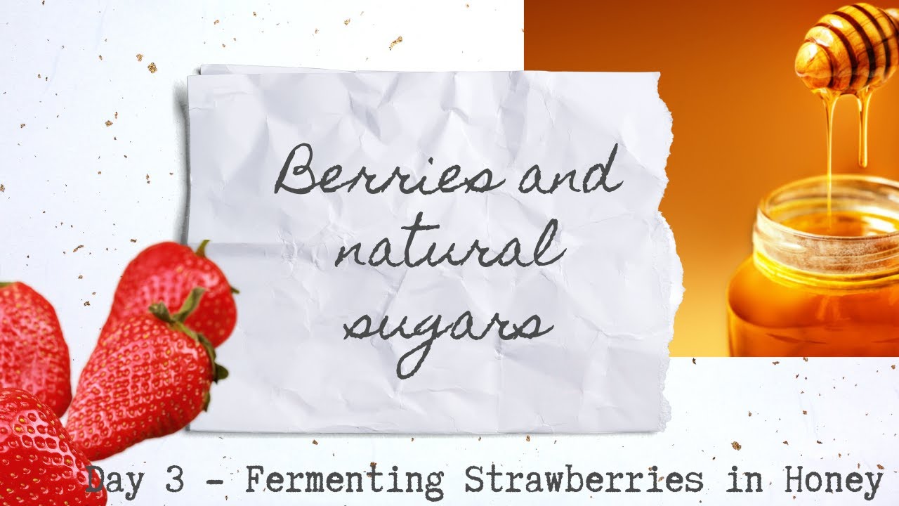 MINI-SERIES Day 3 - Fermenting strawberries in honey