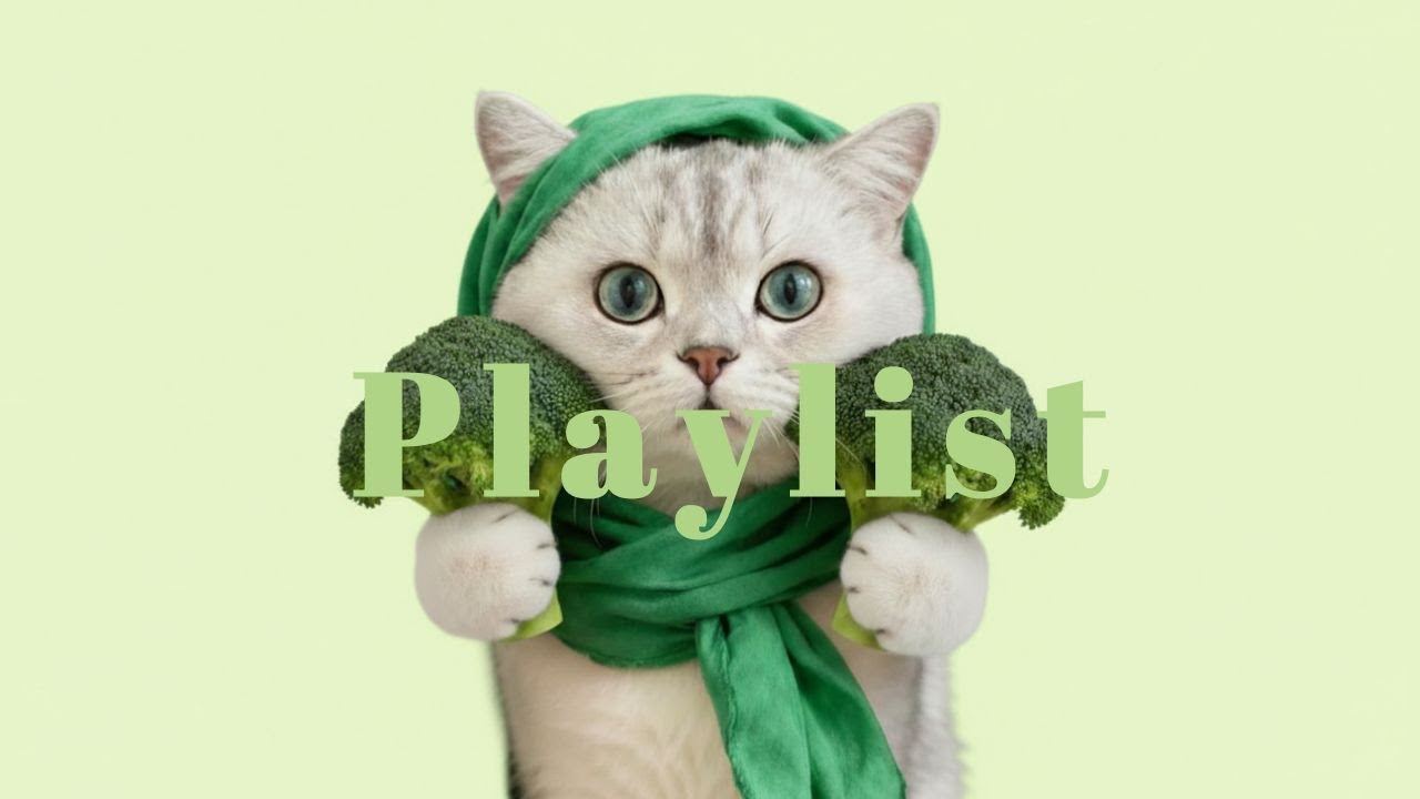 [Playlist] 듣고 있으면 기분 좋아지는 감성팝송 🥦 월요병 디톡스 플리 | R&B · Groove POP | 까페 · 공부 · 노동요🎧