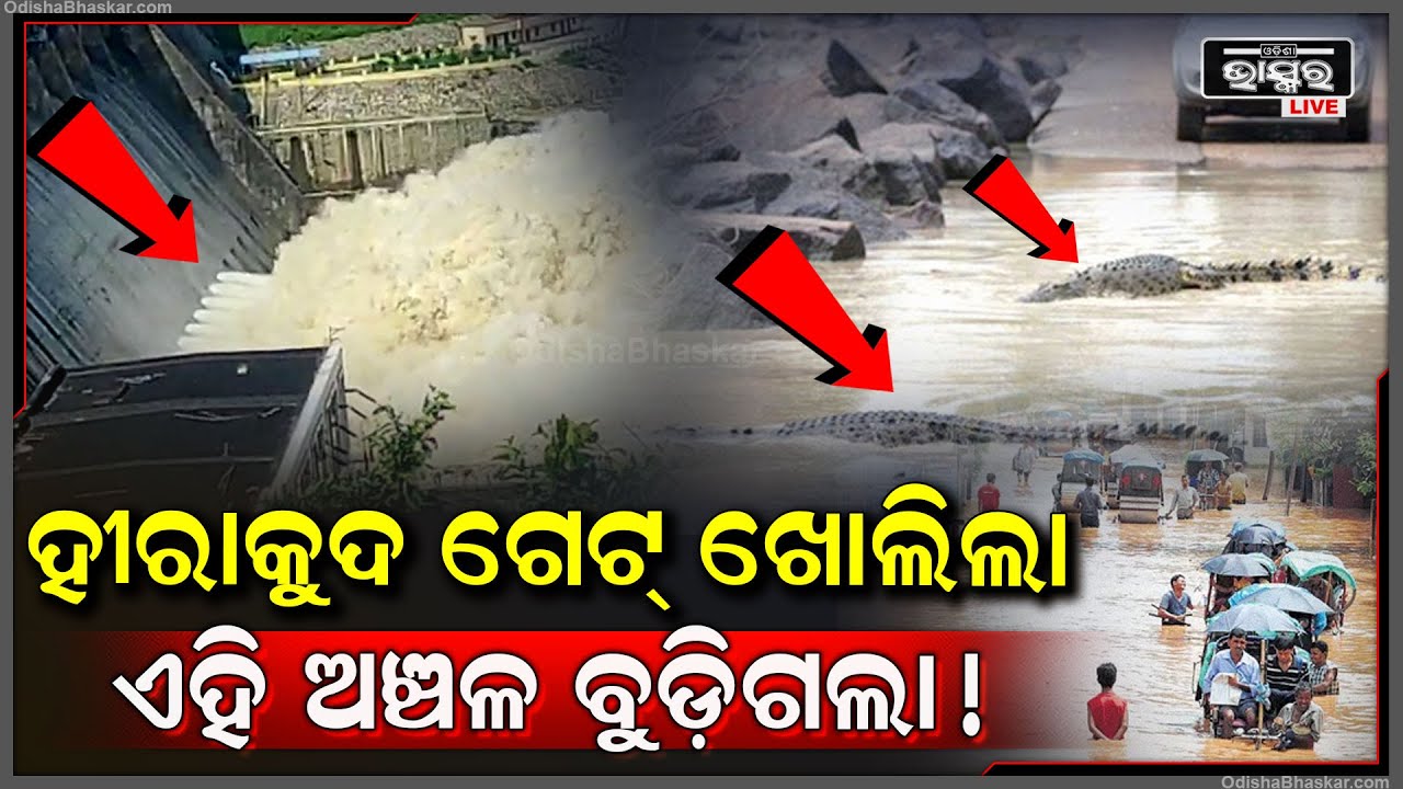 ହିରାକୁଦର ୧୪ଟି ଗେଟ୍ ଖୋଲିଲା ପରେ ଏବେ ବୁଡିଗଲା ଏହି ଅଞ୍ଚଳ ! କାନ୍ଦି ପକାଇଲେ ଲୋକ ..ଆଗରୁ ୨୦ଟି ଗେଟ୍ ...