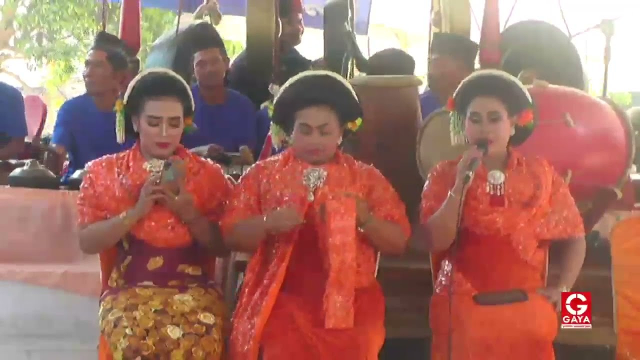 TAYUB NGANJUK TERBARU - 