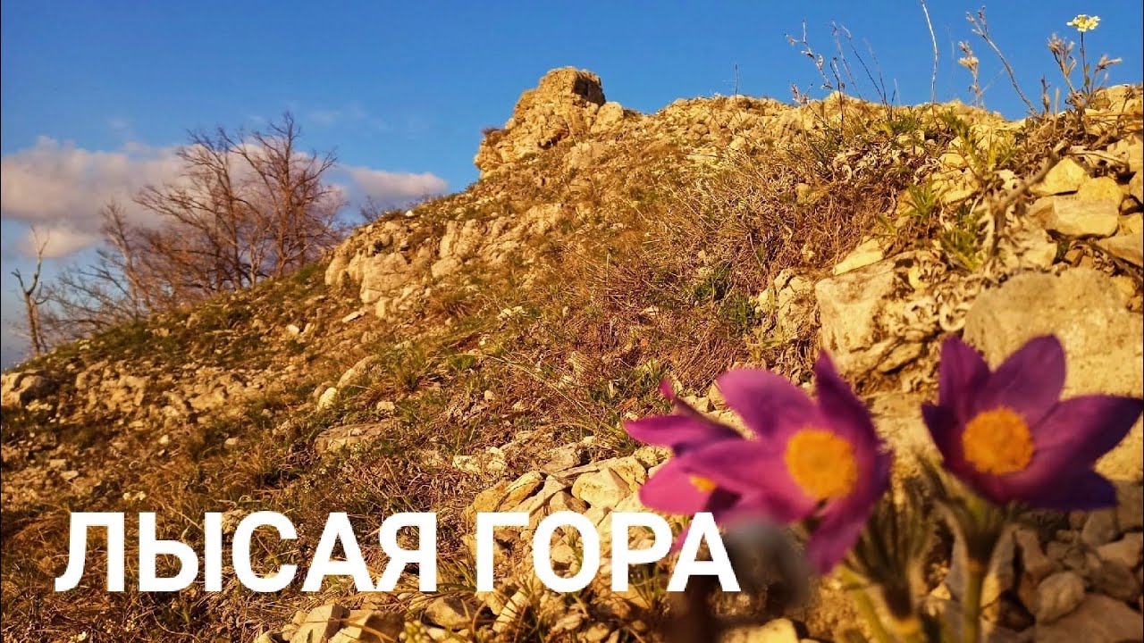 По следу КОСУЛИ | ЛЫСАЯ ГОРА | Жигулёвск