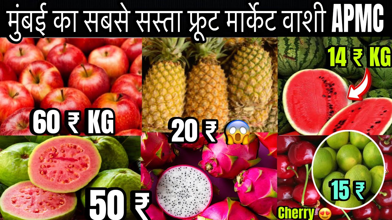 वाशी Fruit Market | Vashi APMC Fruit Market | Wholesale Fruit Market In Mumbai 2026.