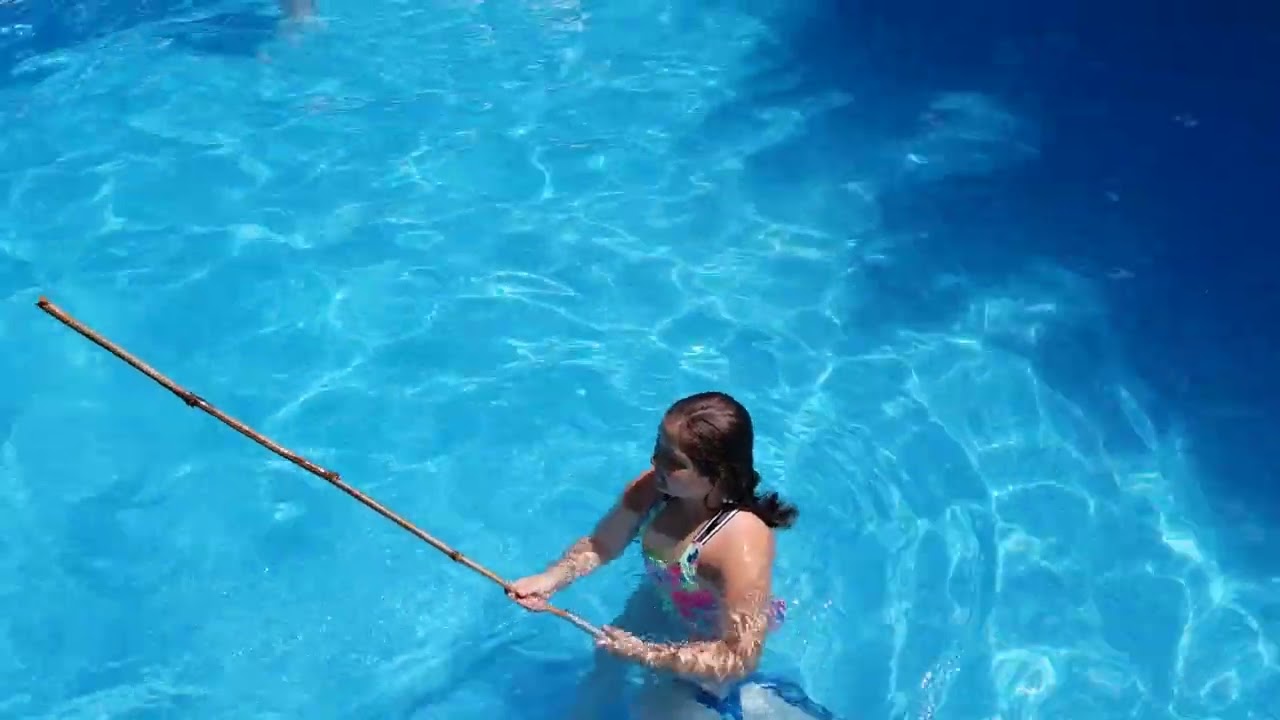 How to remove tadpoles out of your pool. quick guide