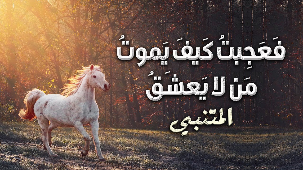 أرق على أرق ومثلي يأرق | أبو الطيب المتنبي