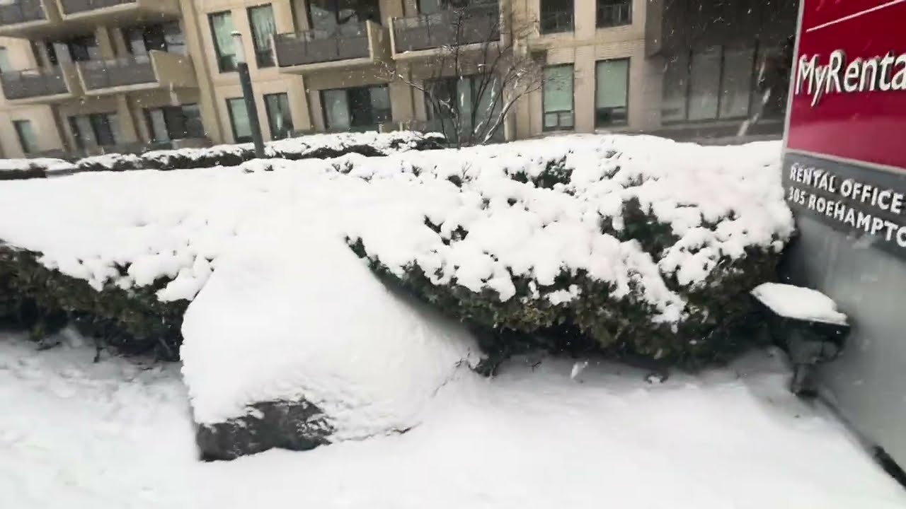 Гуляем в такую ​​погоду 💕 Дети веселятся 💕