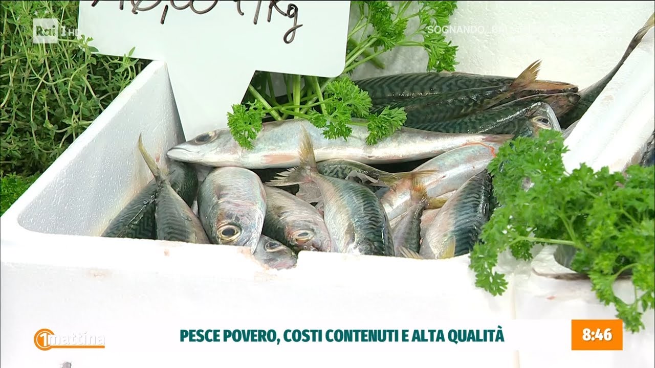 Mercato del pesce povero - Unomattina 16/05/2025