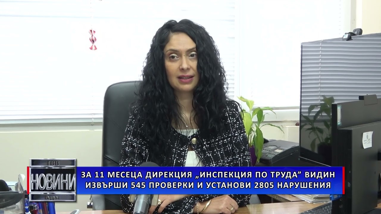 За 11 месеца Дирекция „Инспекция по труда“ Видин извърши 545 проверки и установи 2 805 нарушения