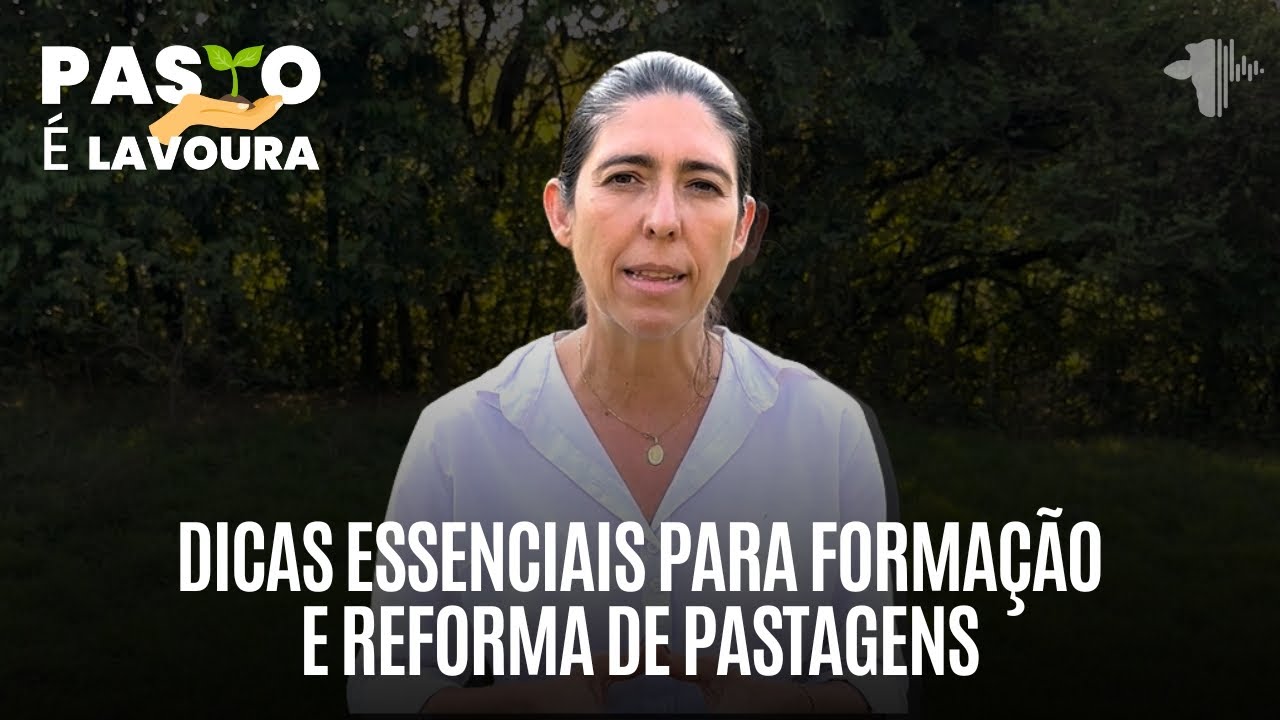 Dicas essenciais para formação e reforma de pastagens com Janaina Martuscello | PASTO É LAVOURA