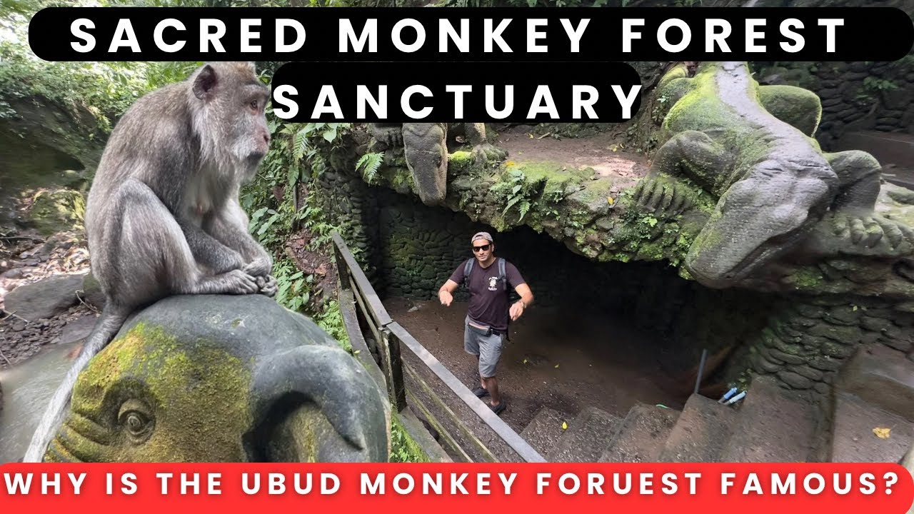  Monkey Forest Ubud | Best place to visit in Bali | Why is The Ubud Monkey Forest Famous !