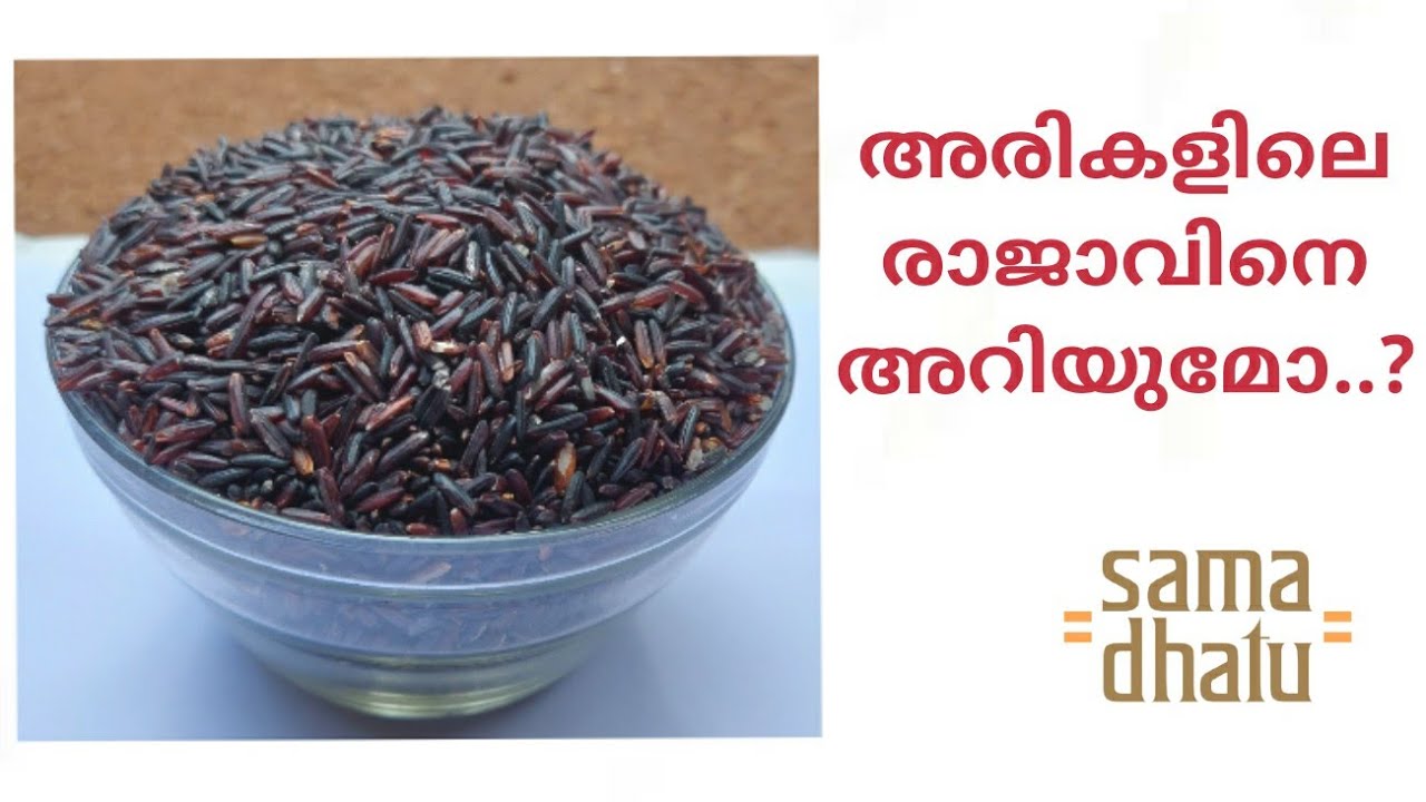 അരികളിലെ രാജാവായ കറുത്ത തവിടുള്ള അരി.....