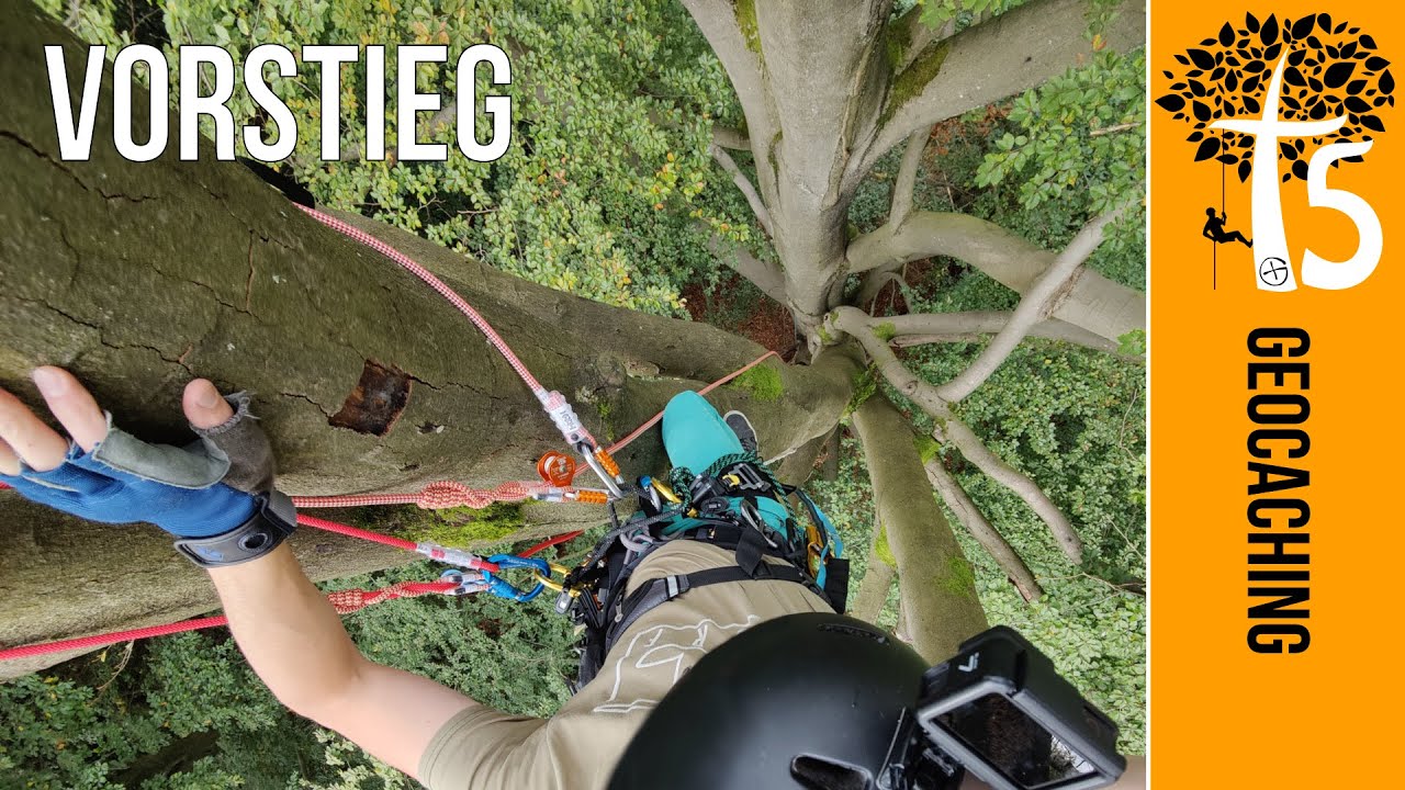 Geocaching T5 - Baumklettern im Vorstieg