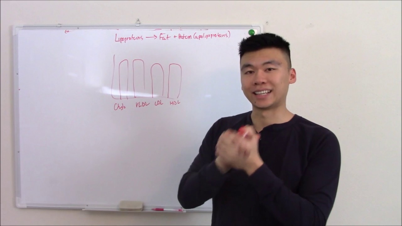USMLE Биохимия 8 Липиды