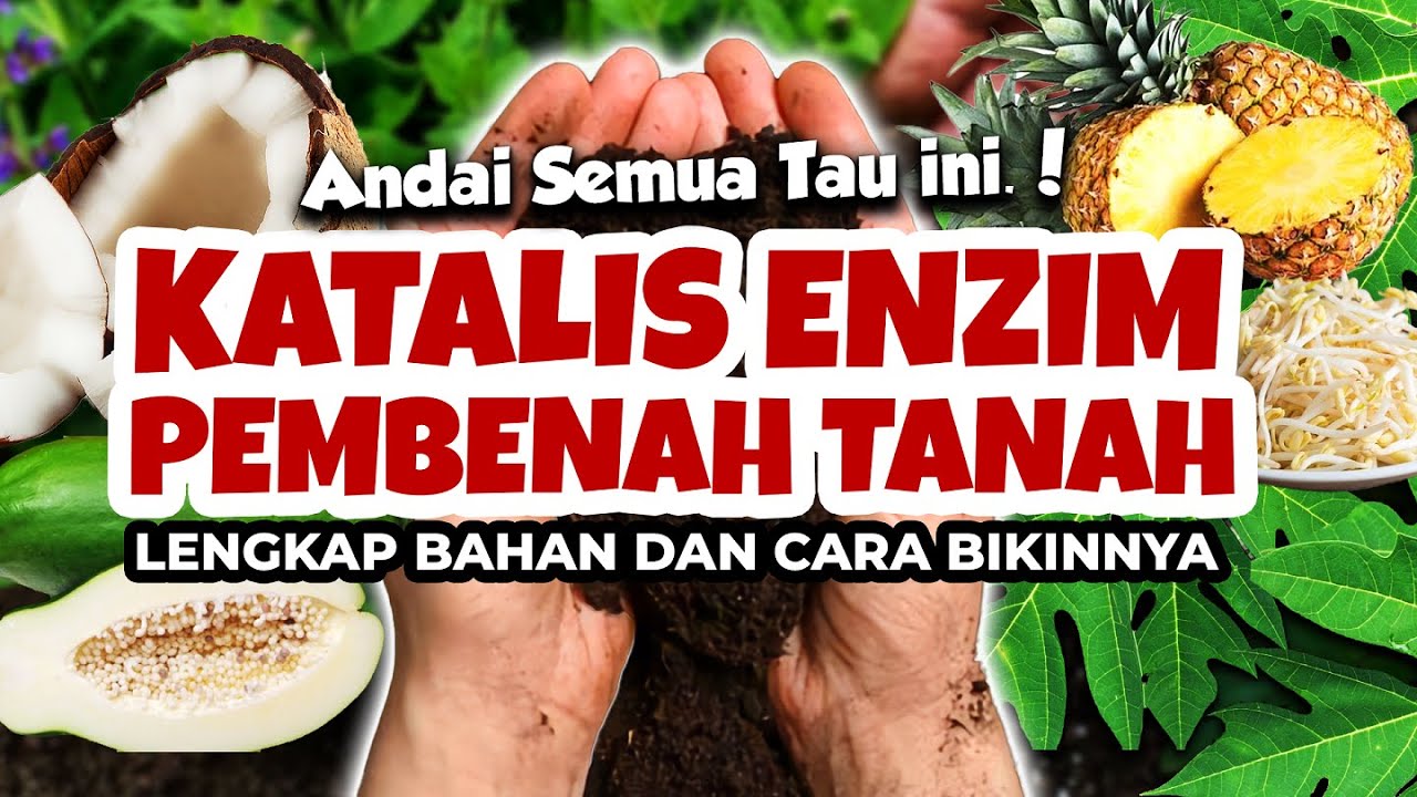 KATALIS ENZIM PEMBENAH TANAH LENGKAP BAHAN DAN CARA BIKINNYA | Tanaman Subur Tanp Boros Biaya