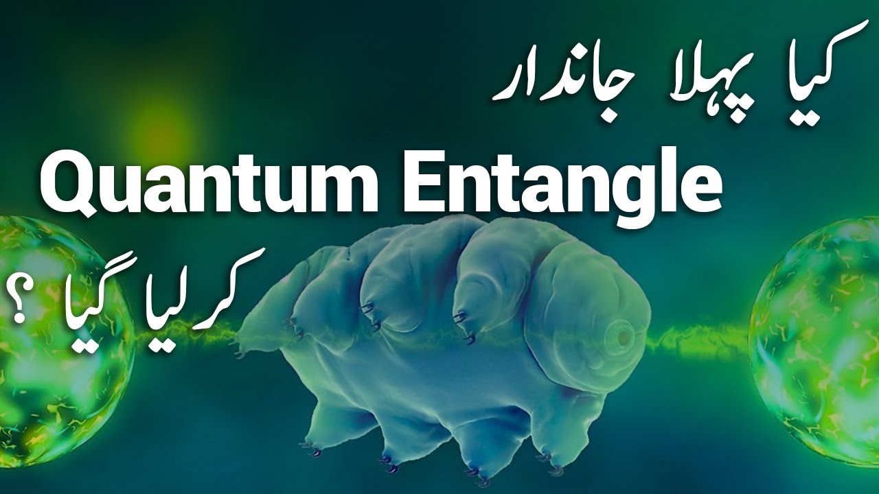 Quantum Entanglement of Tardigrade | Takhti