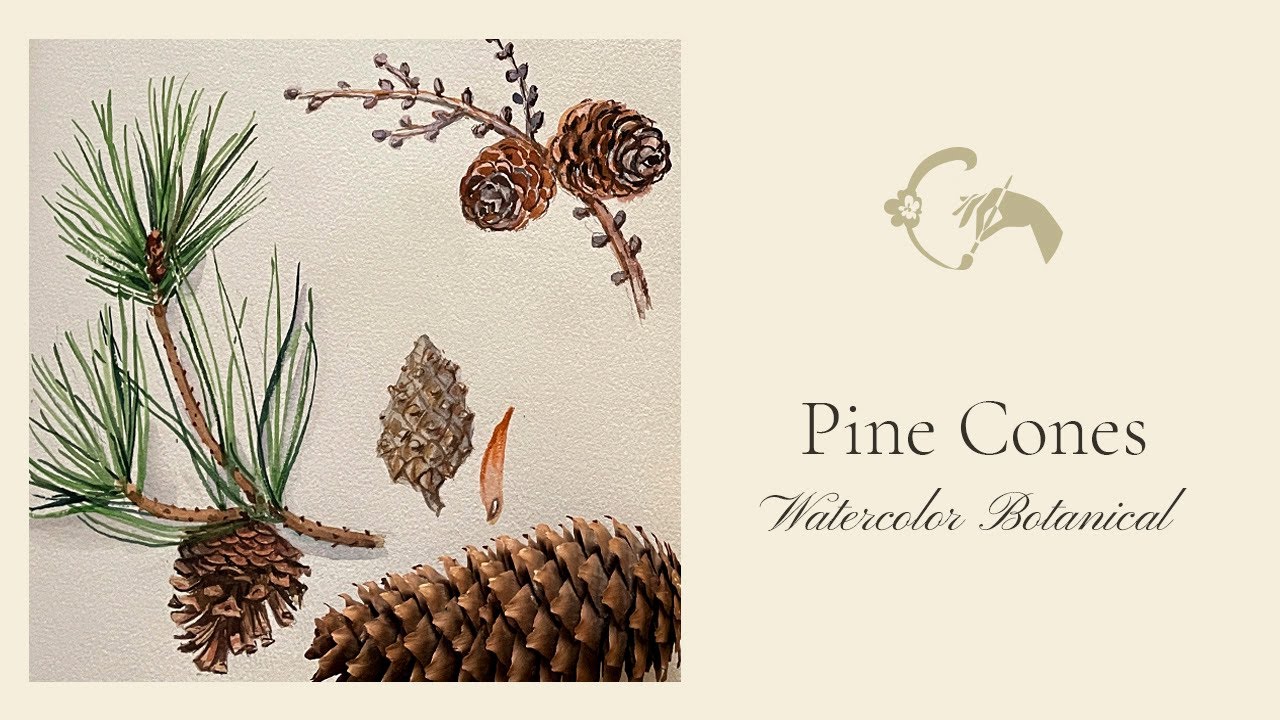 Winter Storm & Pine Cones | Watercolor Botanical Sketchbook | Calm Nature & Art