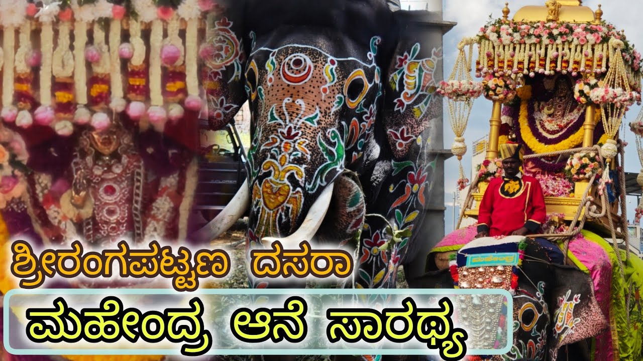 ಶ್ರೀರಂಗಪಟ್ಟಣ ದಸರಾ ಜಂಬೂಸವಾರಿಗೆ ಮಹೇಂದ್ರ ಆನೆ ಸಾರಥ್ಯ! ಜೋಡಿ ಆಗಿ ಕಾವೇರಿ ಲಕ್ಷ್ಮಿ❤️ ಮಹೇಂದ್ರ ಸೂಪರ್ 👌