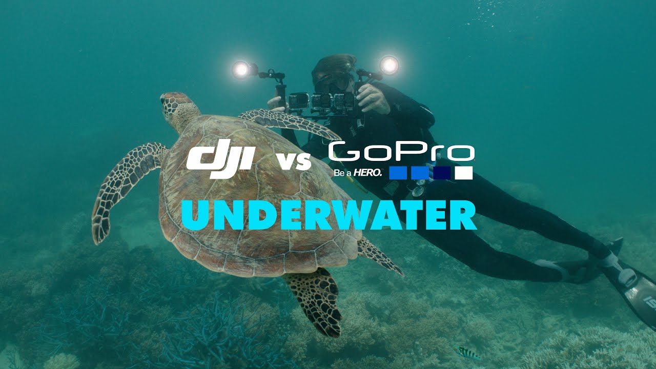 DJI Action 4 vs DJI Action 5 vs GoPro 13 UNDERWATER