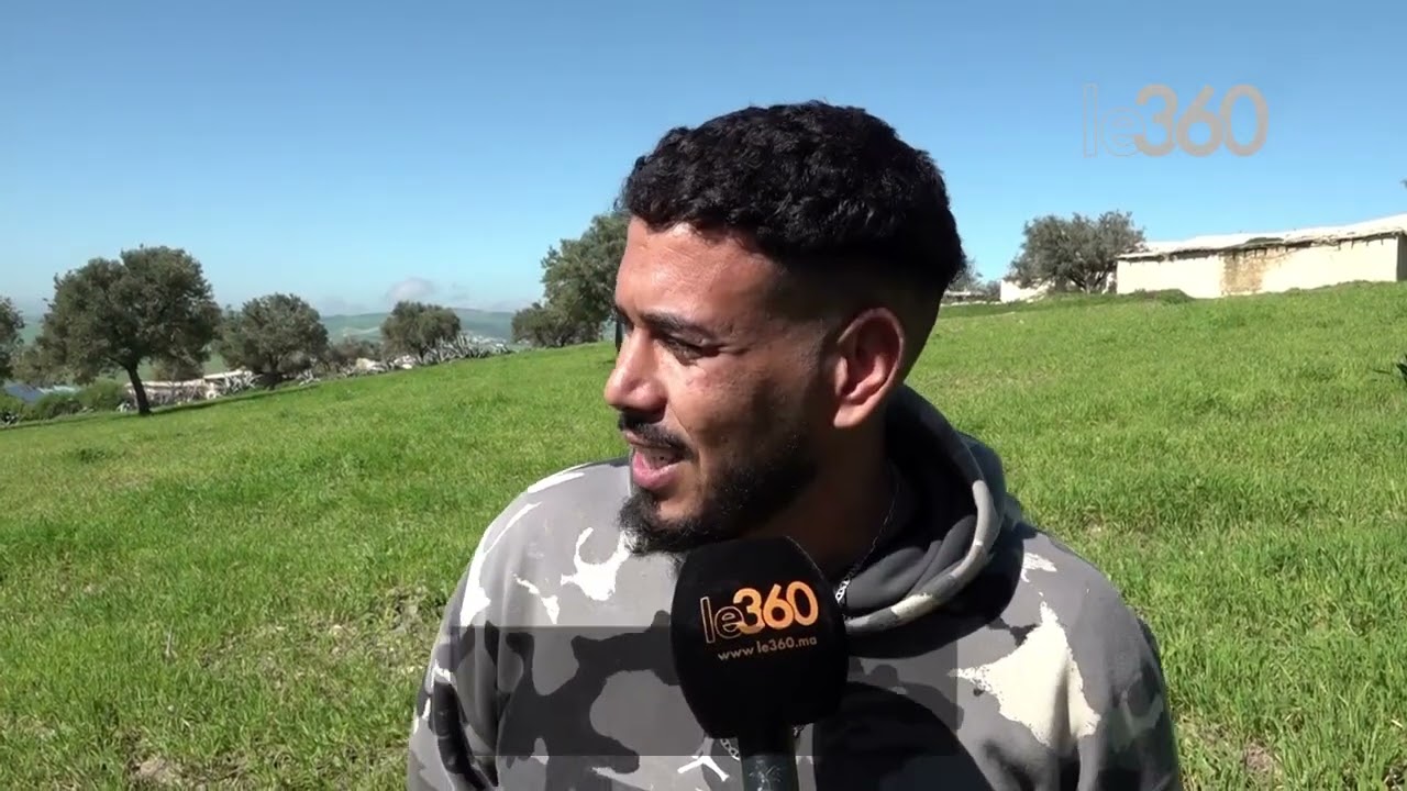 Las últimas precipitaciones cubren los campos de Moulay Yacoub con un encantador manto verde.