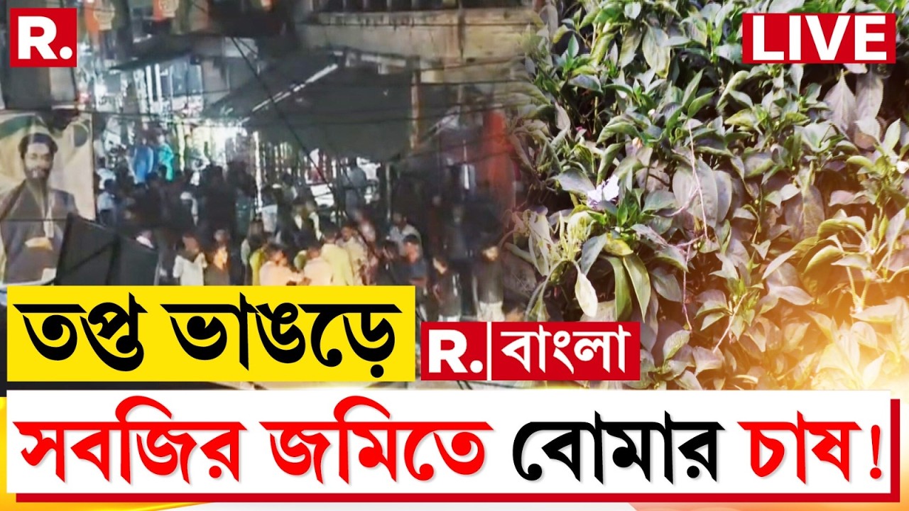 Bhangar News LIVE |  ভাঙড়ে রাস্তার পাশের জমিতে মজুত ছিল বো মা। সবজির খেতে পড়ে বো মার সুতলি