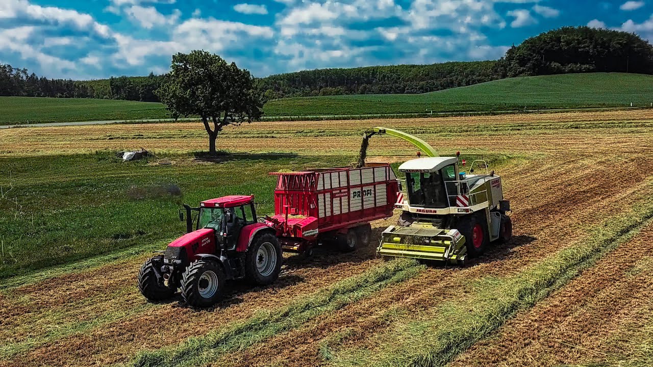 Claas Jaguar beim Grünschnittroggen häckseln | gramay² productions