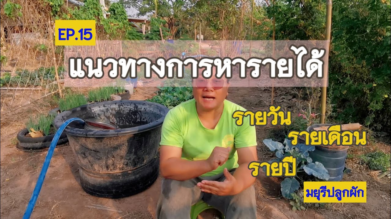 [EP.15]. แนวทางการหารายได้ที่บ้านนอก รายวัน รายเดือน รายปี กับสวน​เกษตร​ผสมผสาน | มยุรีปลูกผัก