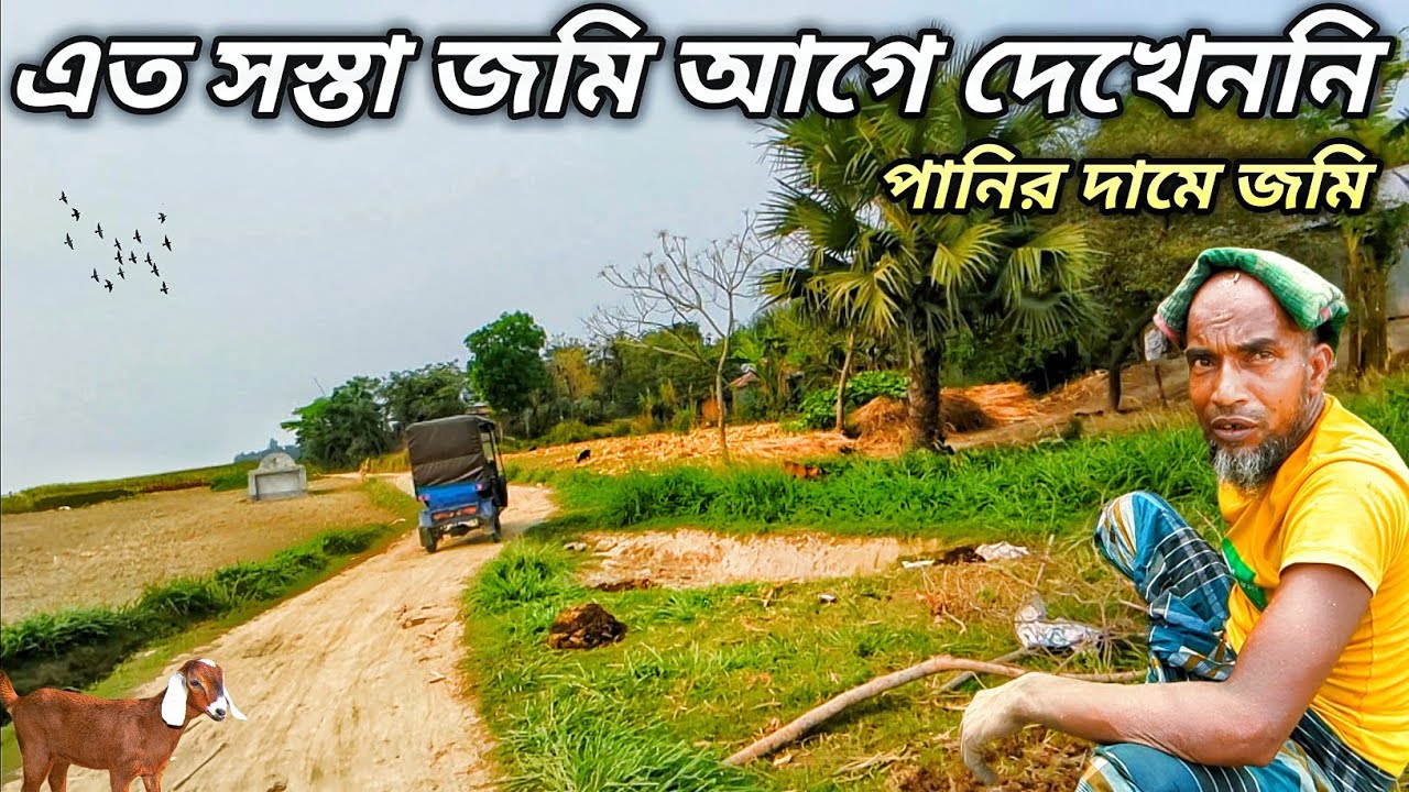 পানির দামে জমি | এত সস্তা জমি হয়ত আগে কখনো দেখেননি | Grammo Jibon