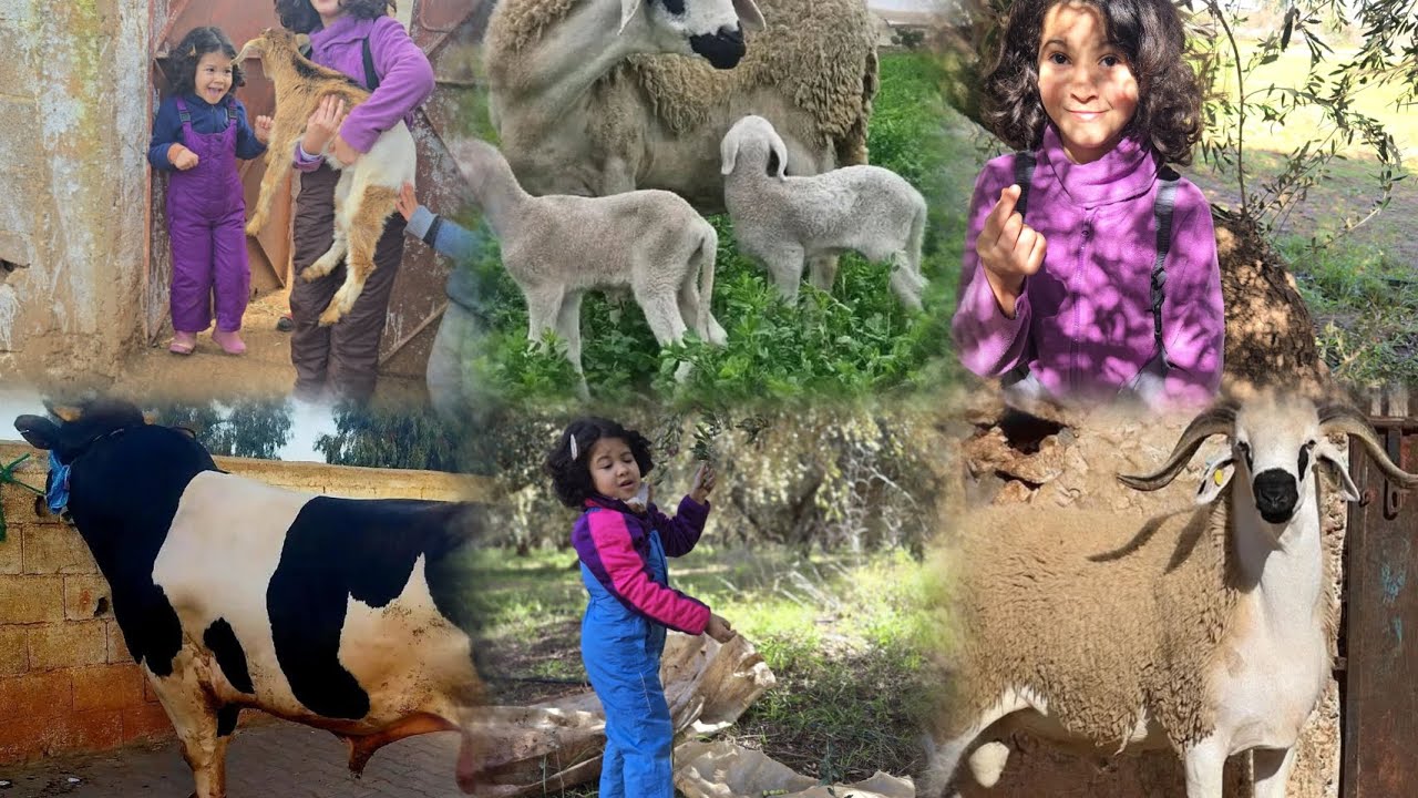 ها علاش لعروبية زوينة🥰دخلوا شفوا🤔 اش درنا🎵