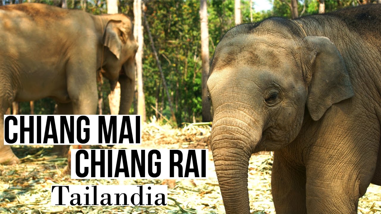 Chiang Mai / Chiang Rai , Tailandia - ¿Que visitar?