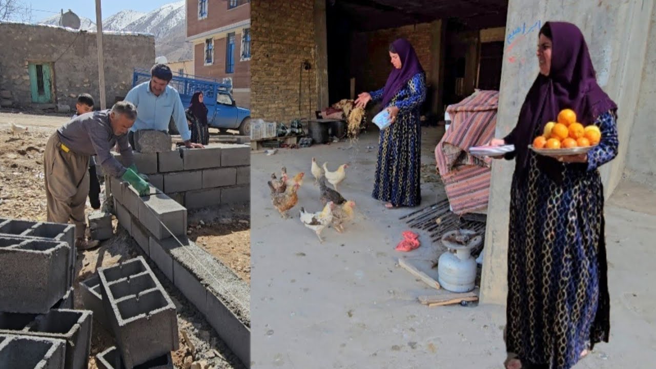 Building a Chicken Coop by a Hardworking Family
