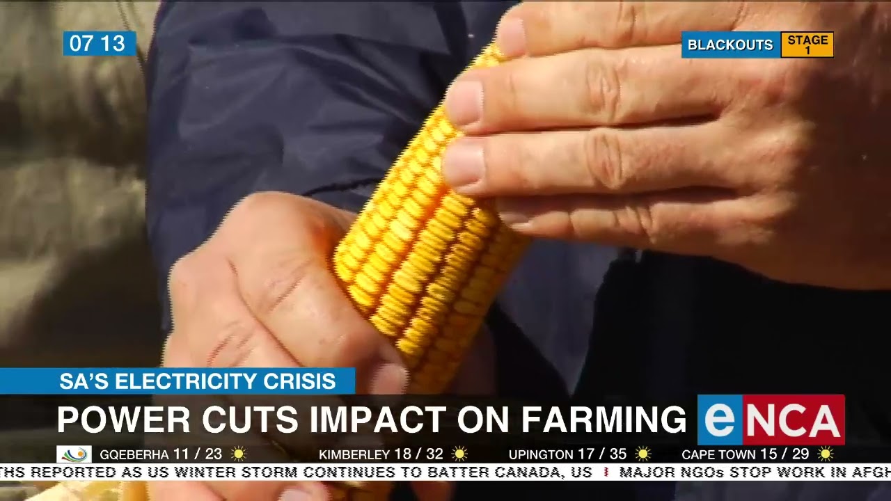 SA's electricity crisis | Blackouts may affect harvest