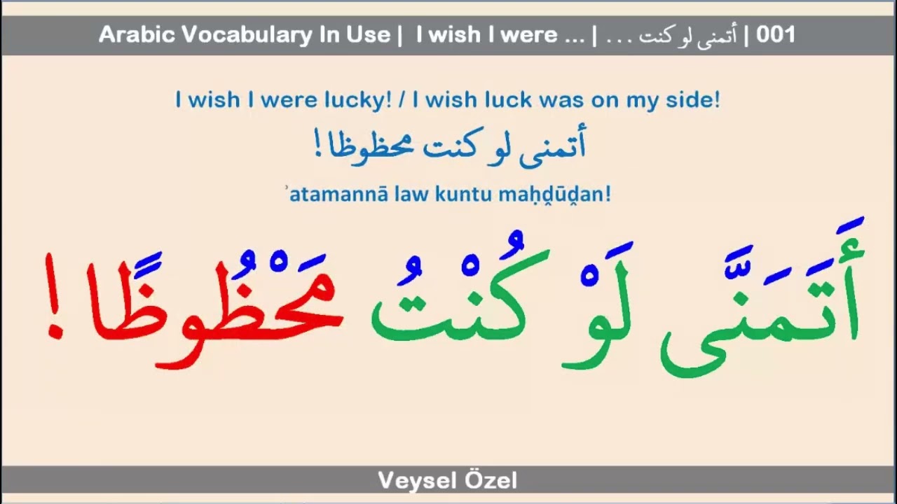 Arabic Vocabulary In Use | I wish I were ... | (... أتمنى لو كنت) | 001