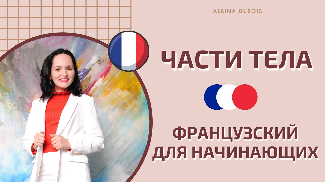 Части тела на французском языке