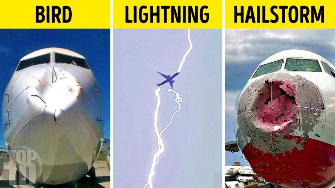 Airplane Pilots Answer Questions You've Always Wanted to Know