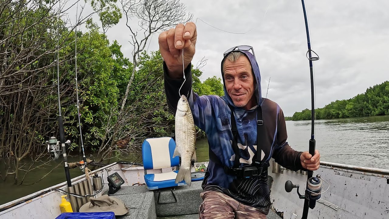 This river produces barramundi (Catch & Cook)