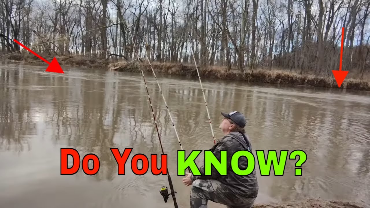 The Perfect Time to CATCH a CATFISH