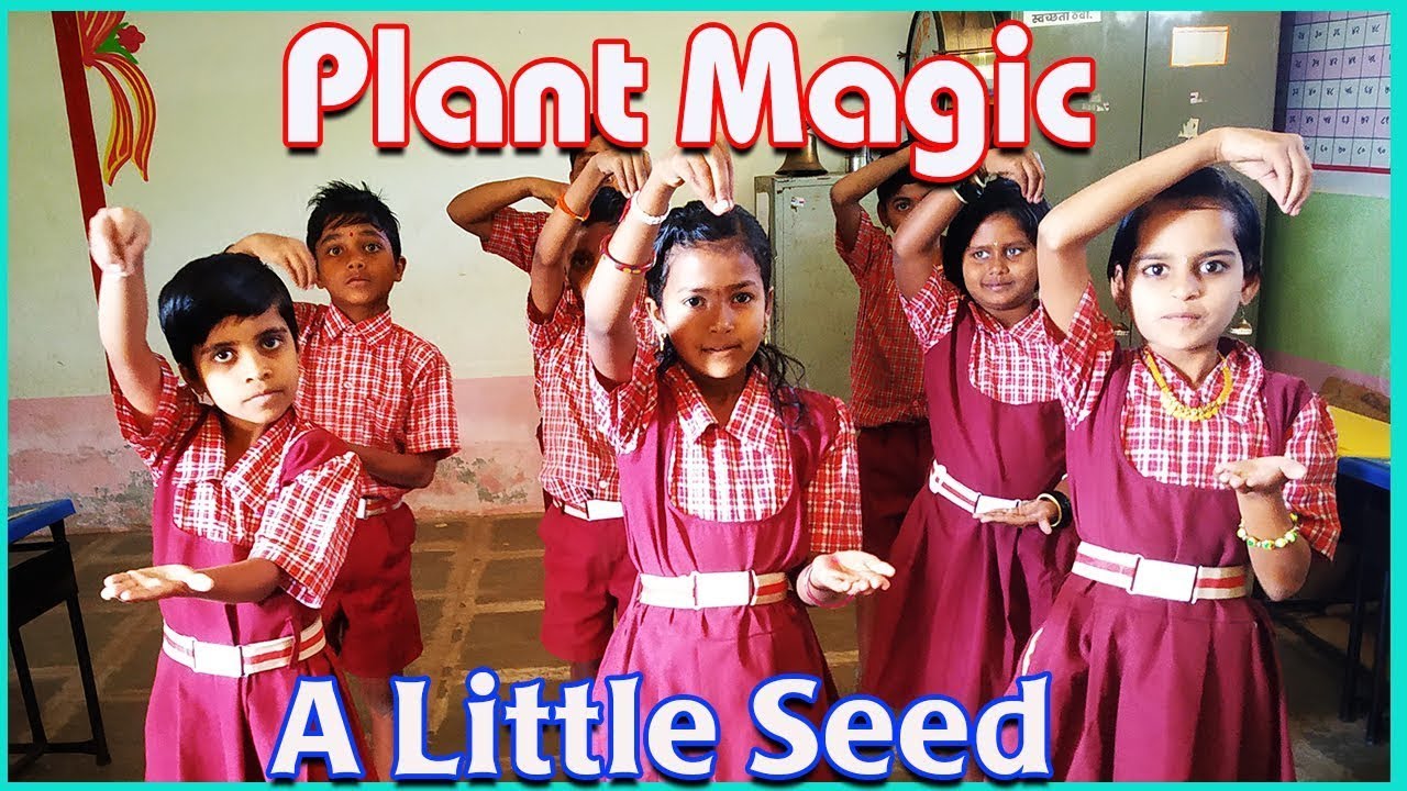 Plant Magic