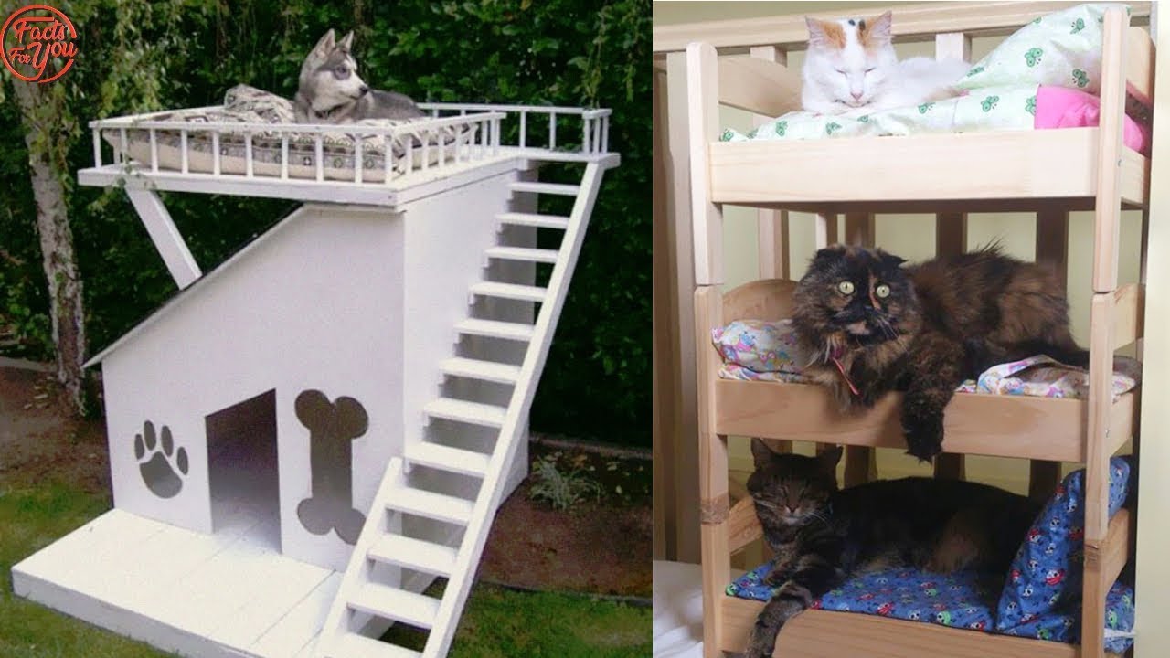 Most Creative Furniture Design Ideas For Your Pets
