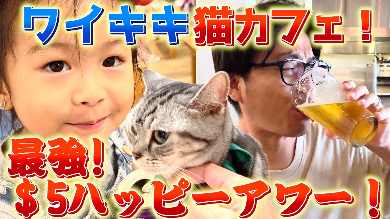 【子連れハワイ】最強！＄5ハッピーアワー＆猫カフェの回！