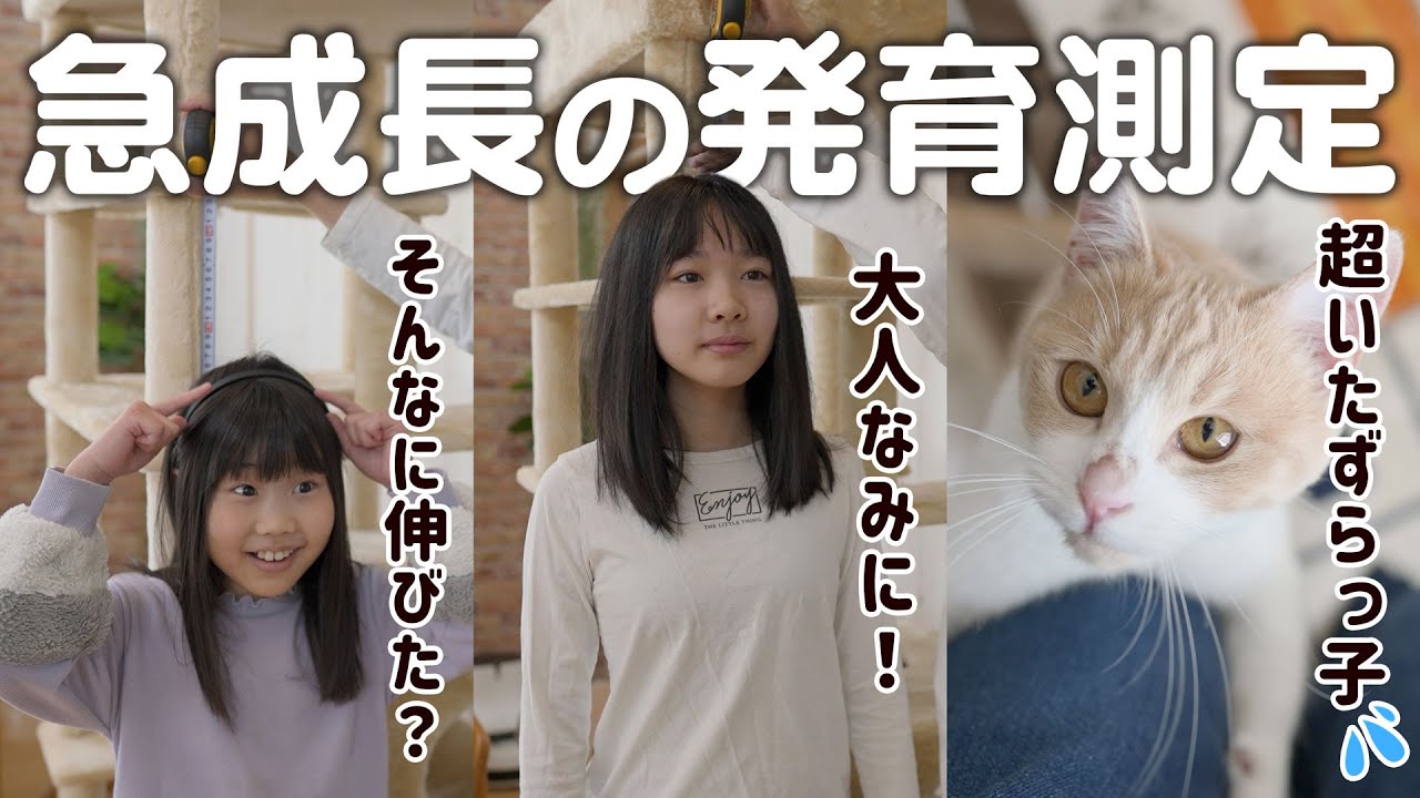 新学期恒例の身体測定！本性を現した保護猫メグと中１娘の才能【身長体重測定】