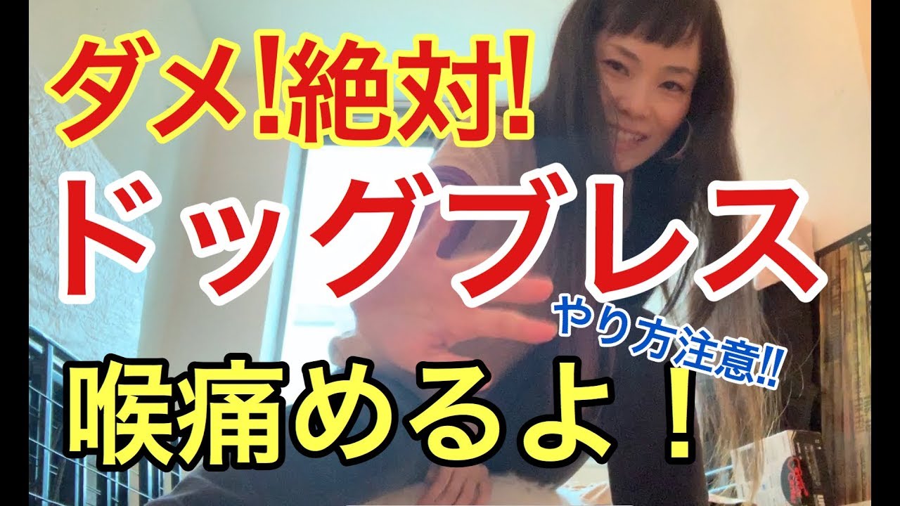 ドッグブレス、ダメ！絶対！-誰も教えてくれない歌の真実！？-