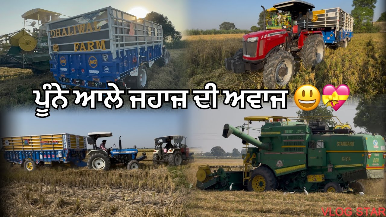 3630 ਤੇ 855 ਦਾ ਜਲਵਾ // 110 ਝੋਨਾ ਵੱਢਿਆ ਅੱਜ 🌾🌾
