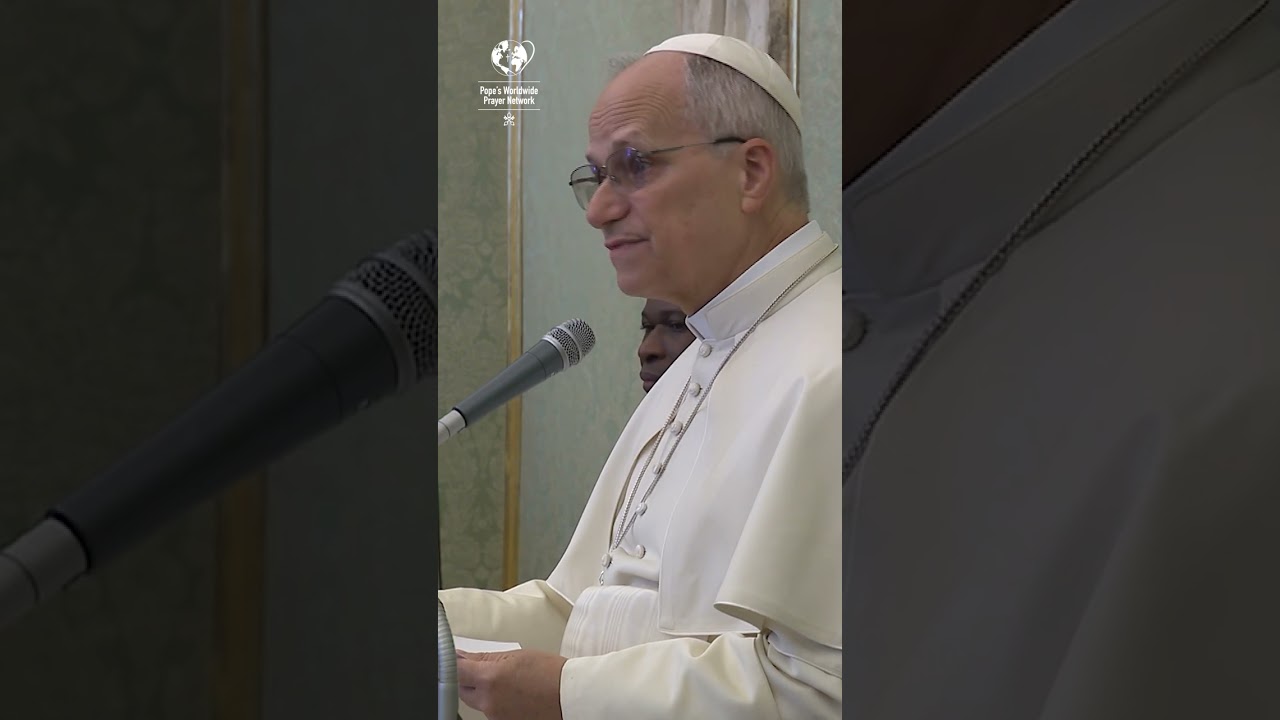 Audience with the Holy Father Leo XIV - January 2026