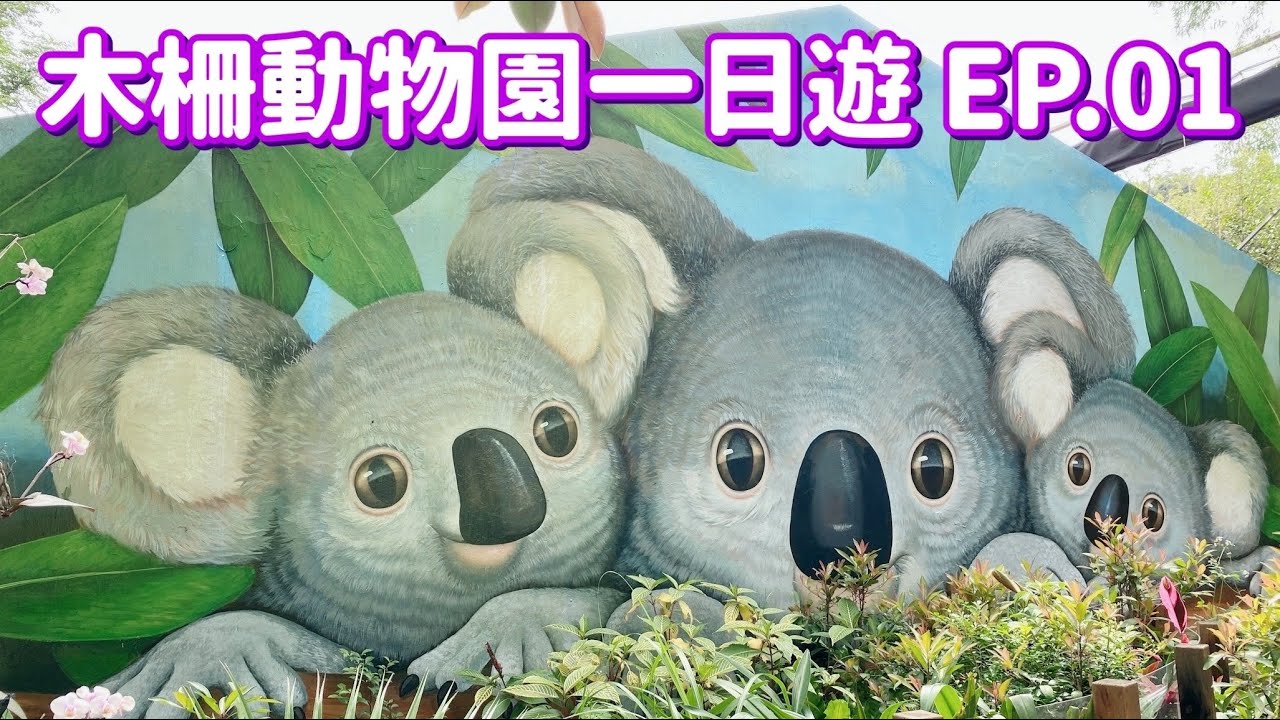 【台北景點】木柵動物園 EP.01 「無尾熊館」、「兒童動物區」（完整記錄）Taipei Zoo