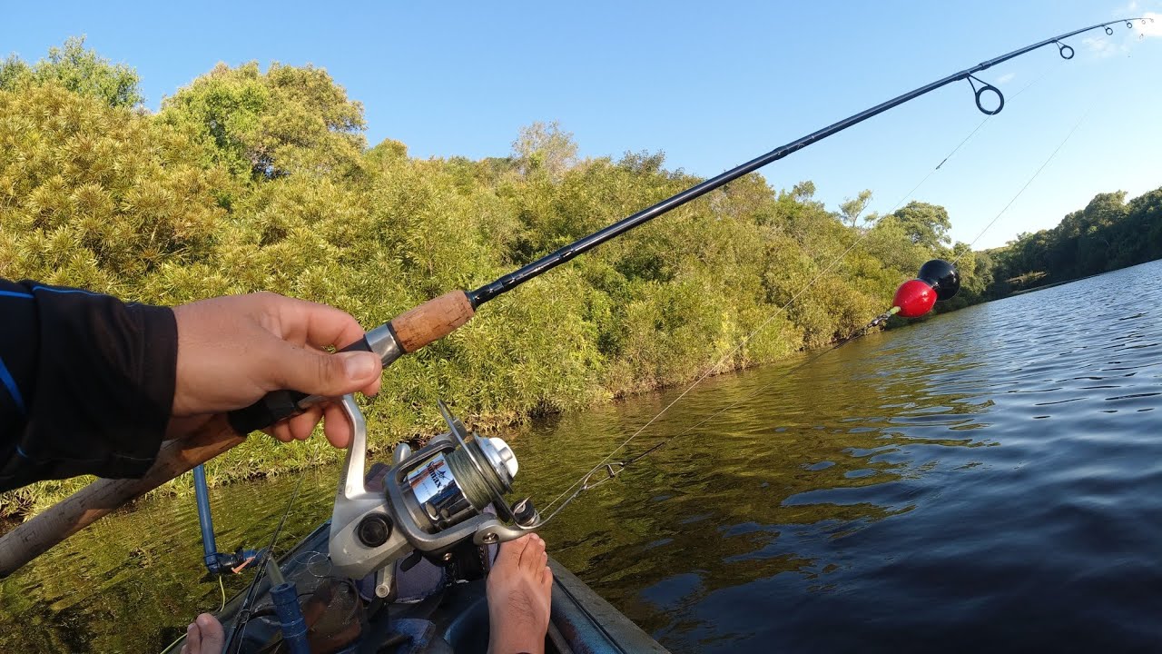 PESCA variada con BOYA en KAYAK ,  RIO , bagres
