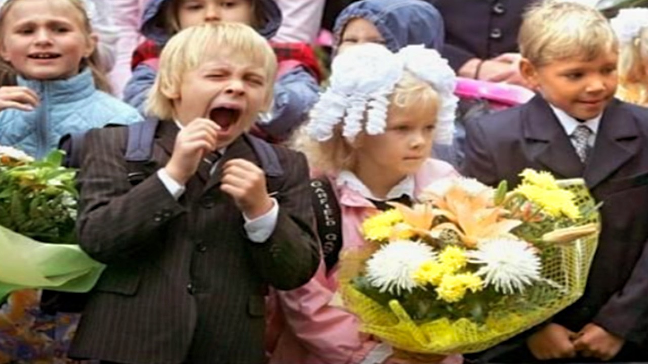 Я ржал до слез 😂 20 Минут смеха 2026 Смешные видео Приколы с животными! Смешная Подборка #34