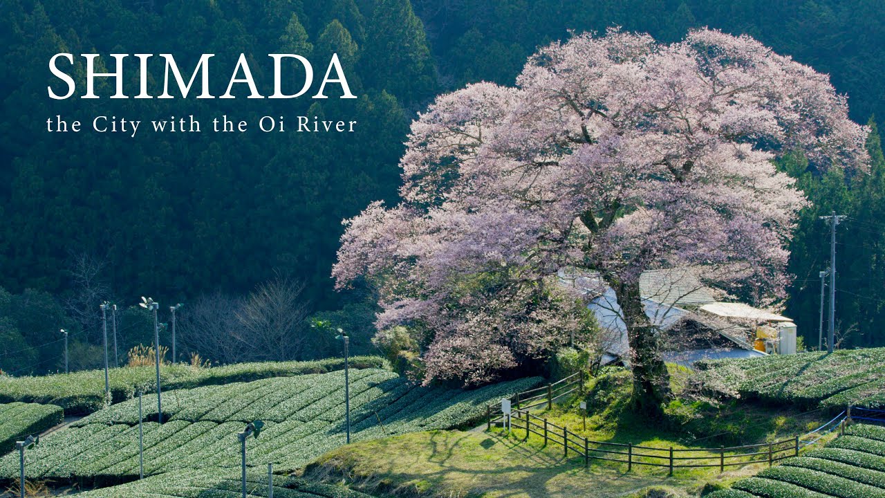 Shimada City, Japan in 8K HDR - 島田市 大井川と生きるまち