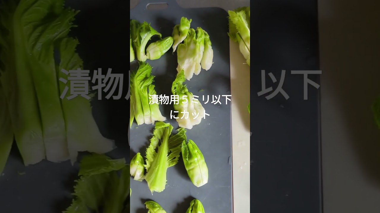 子持ち高菜の漬物美味し〜い #shortsyoutube #簡単レシピ