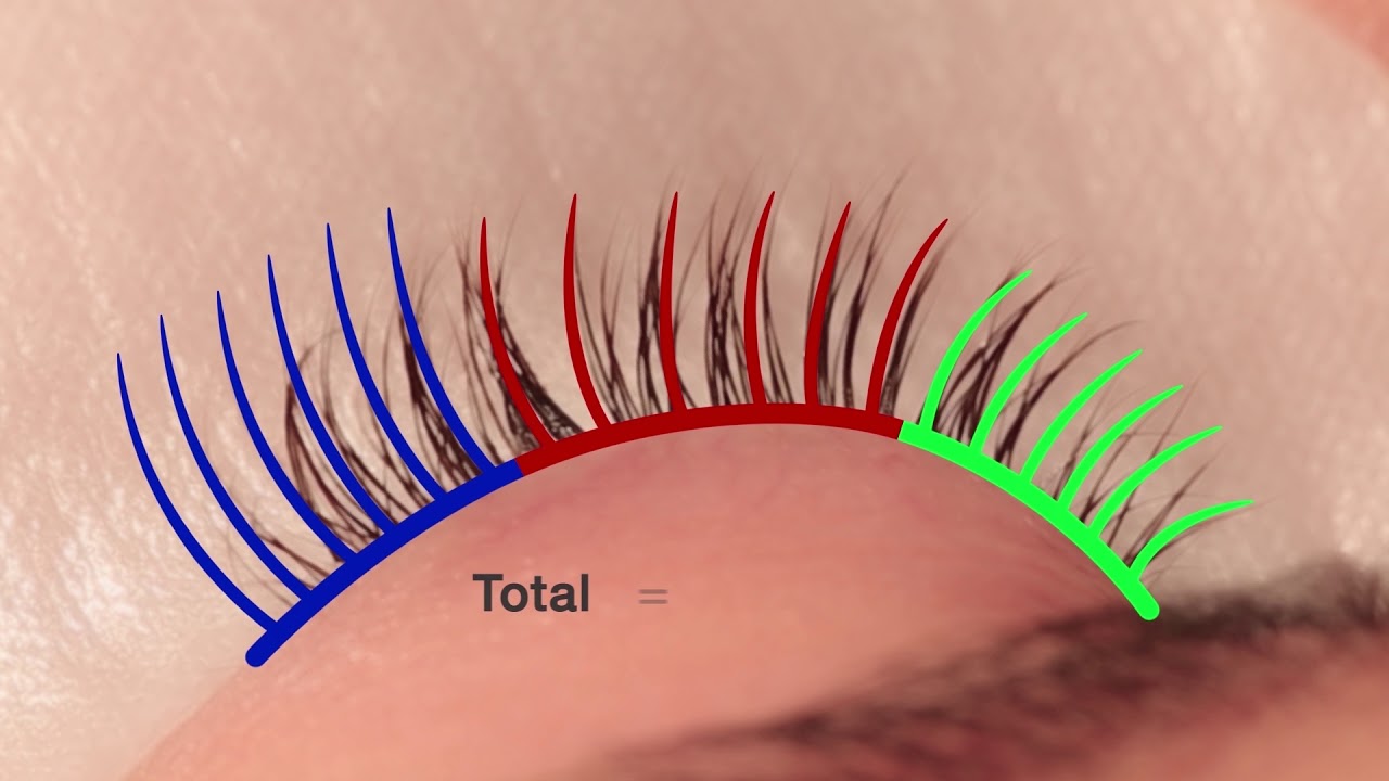 Tutorial Extension Ciglia 