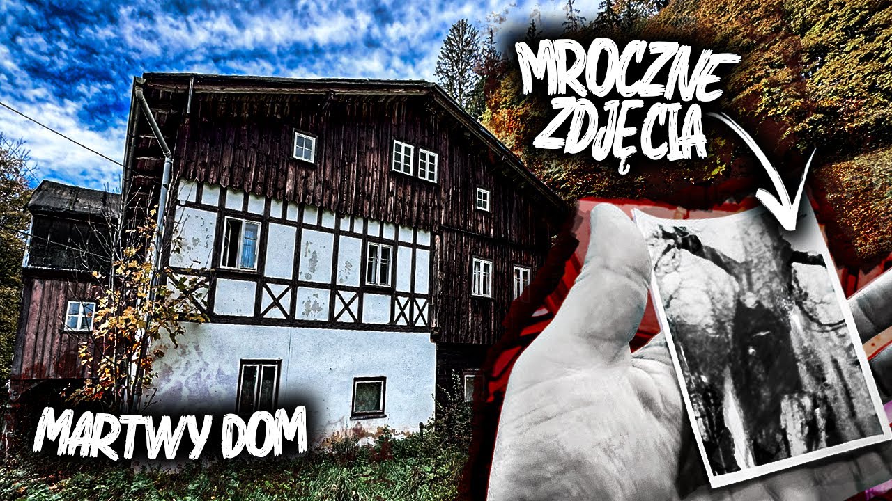 NICZYM DOM 